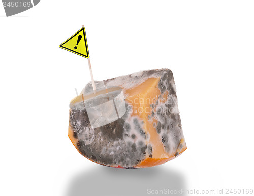 Image of Piece of cheese gone bad