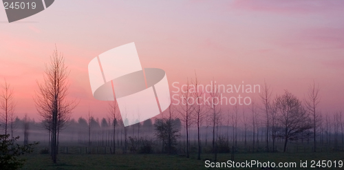 Image of Morning mist