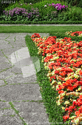 Image of Begonias growing along the stone path