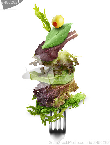 Image of Salad Leaves