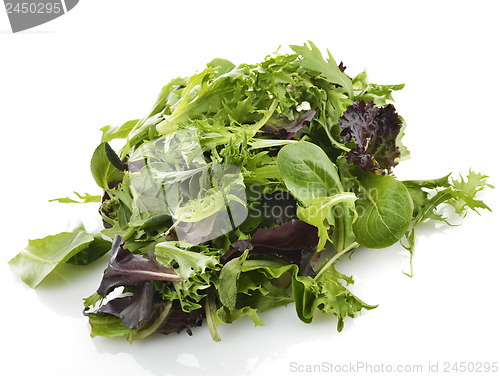 Image of Salad Leaves