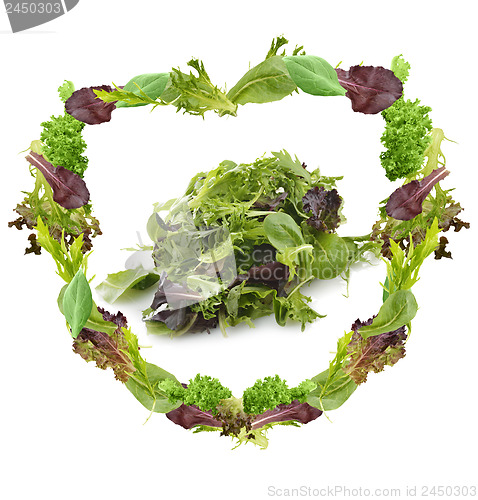 Image of Salad Leaves