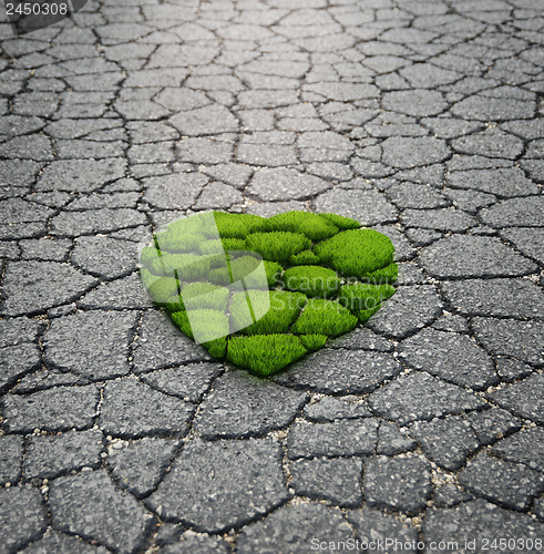 Image of  Grass Growing From The Asphalt