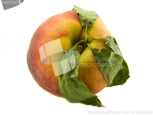 Image of peaches