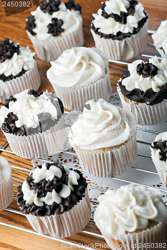 Image of Iced Gourmet Cup Cakes