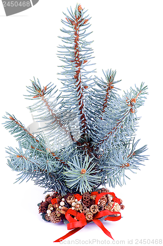 Image of Christmas Tree