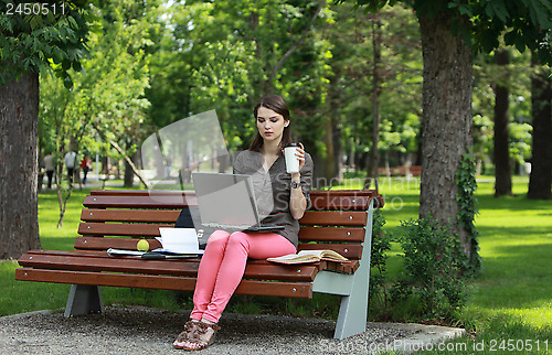 Image of Young Woman Studying in a Park