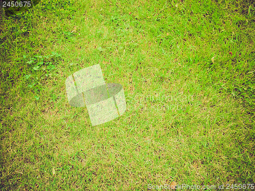 Image of Grass background