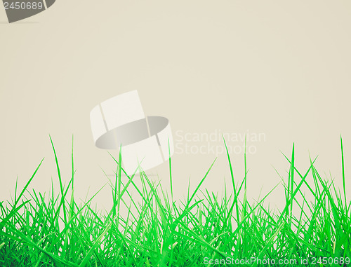 Image of Retro look Meadow
