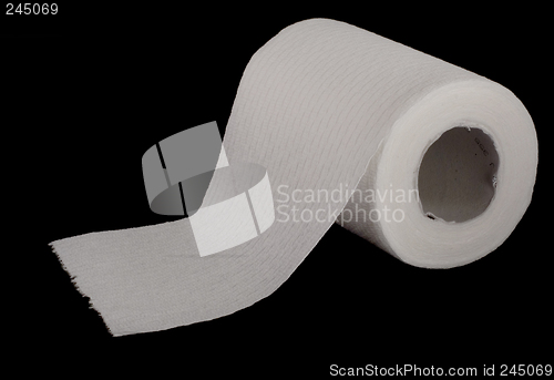 Image of TP On The Roll