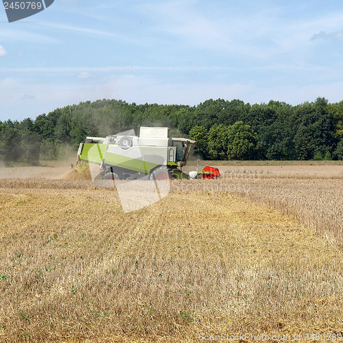 Image of Harvest