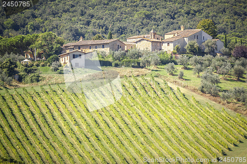 Image of Wine Hill Italy