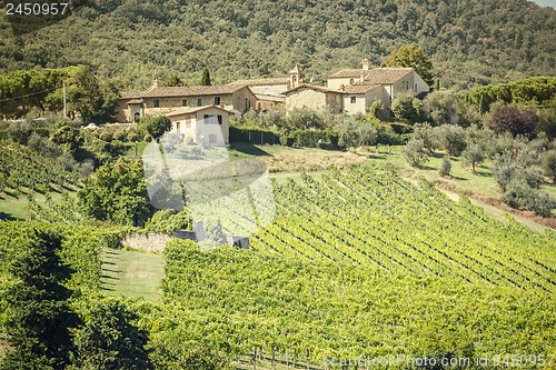 Image of Wine Hill Italy