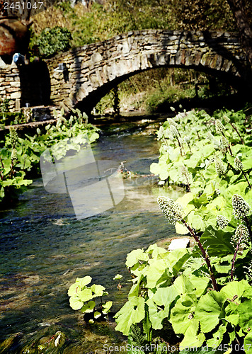 Image of Rock bridge