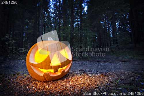 Image of Halloween pumpkin