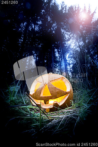 Image of Halloween pumpkin