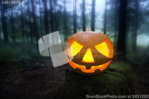 Image of Halloween pumpkin