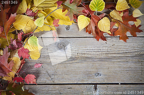 Image of Fall Background