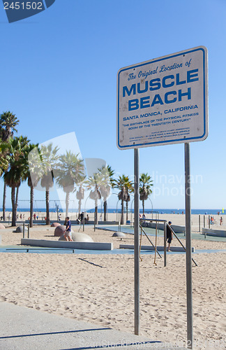 Image of Muscle Beach