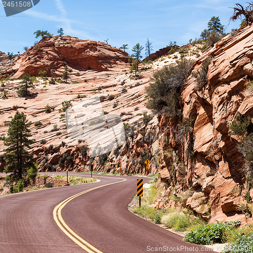 Image of Road in Zion