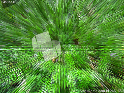 Image of Green unusual background