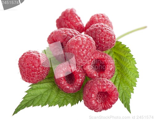 Image of Ripe raspberry with green leaf