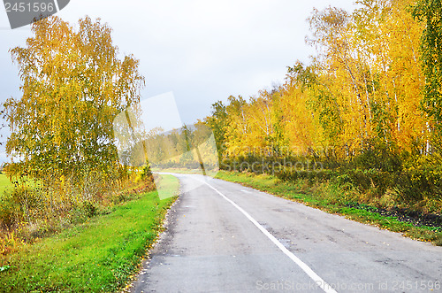 Image of autumn road