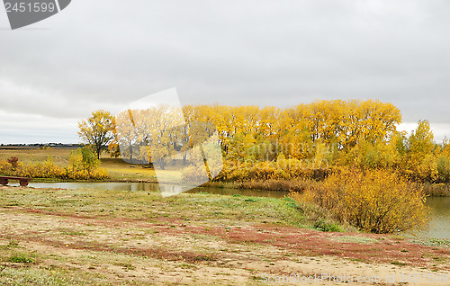 Image of autumn river