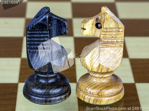 Image of two chess horse faced