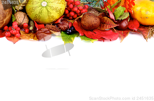 Image of Autumn Frame