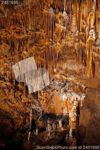 Image of Limestone Cave