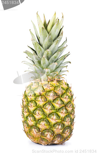 Image of Pineapple fruit