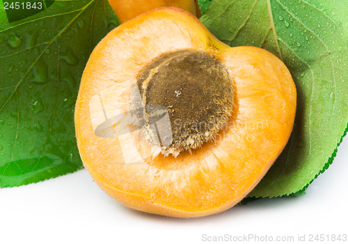 Image of Apricots and leaf white isolated