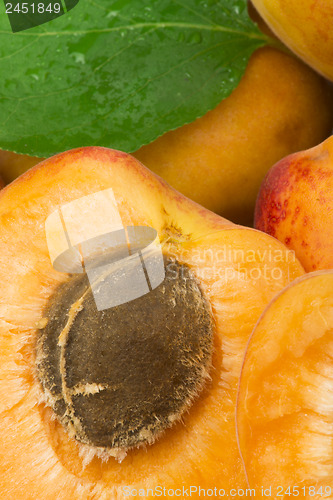 Image of Close up apricots. 