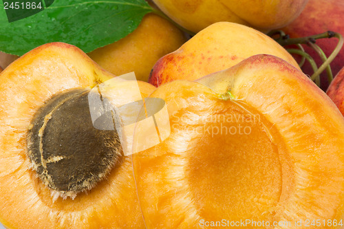 Image of Close up apricots. 