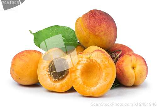 Image of Apricots and leaf white isolated