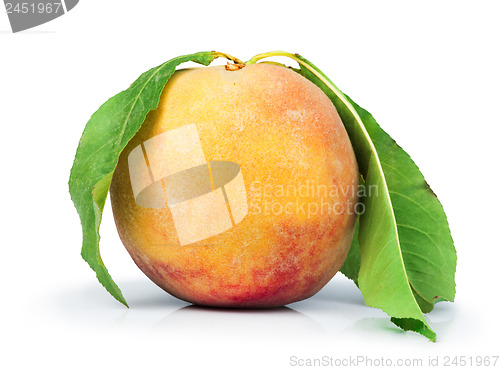 Image of Peach and leaf