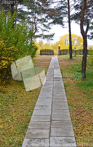 Image of autumn road