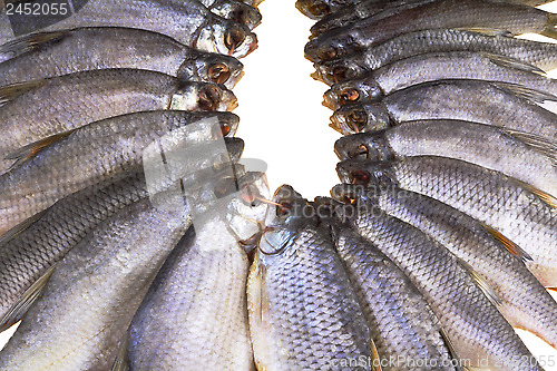 Image of Salted and dried river fish on a white background.