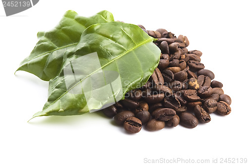 Image of coffee grains and leaves