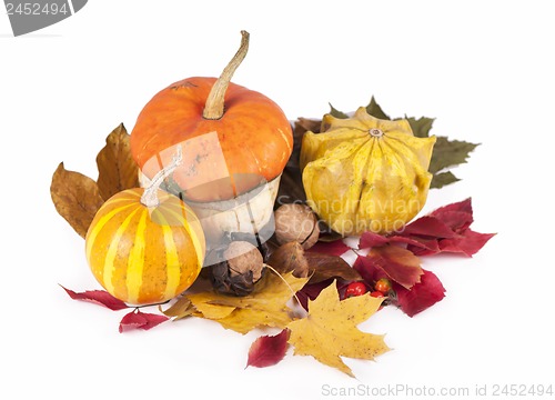 Image of poppy pie, autumn leaves and pumpkins