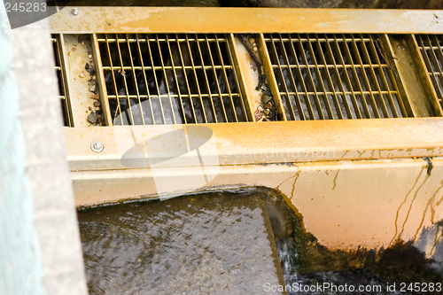 Image of Fish Ladder