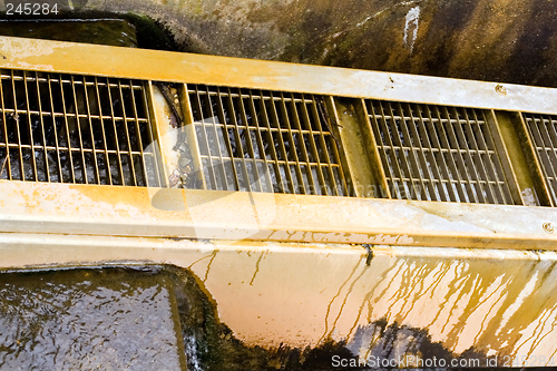 Image of Fish Ladder