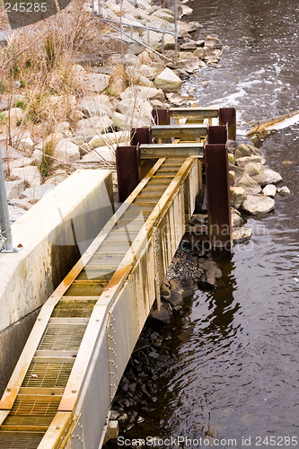 Image of Fish Ladder