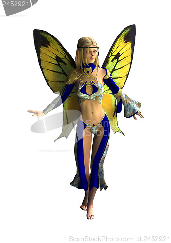 Image of Fairy Butterfly