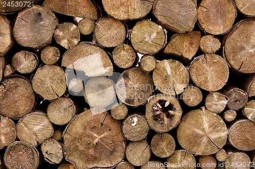 Image of Log Pile