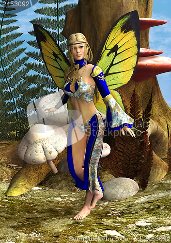 Image of Fairy Butterfly