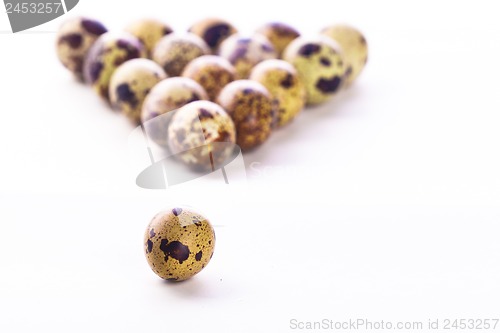 Image of Quail eggs