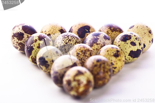 Image of Quail eggs