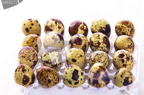 Image of Quail eggs